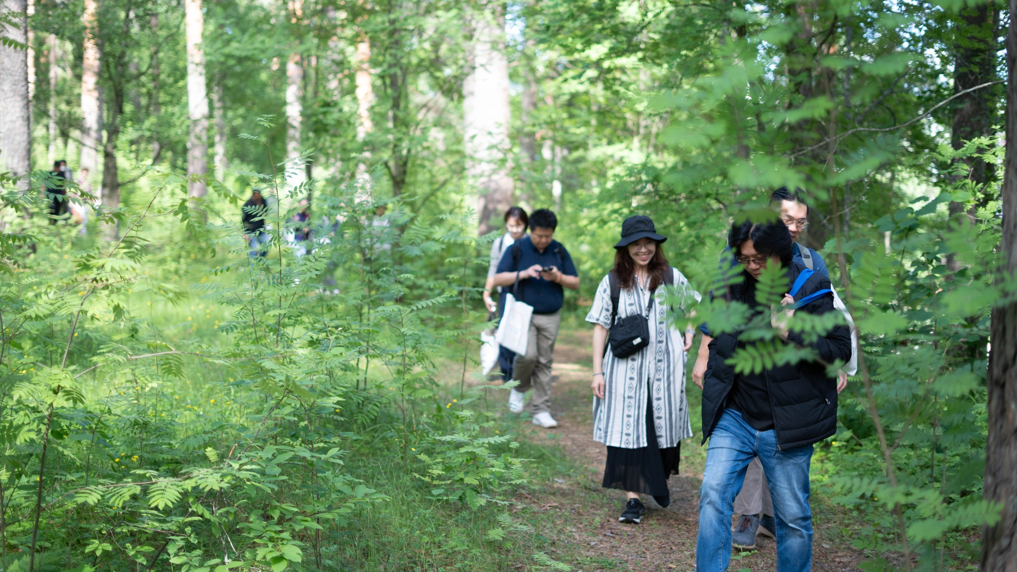 Programme participants walking through a Finnish forest